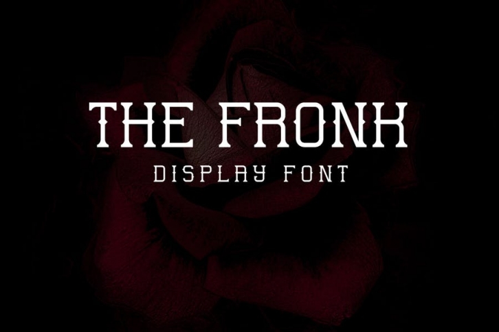 The Fronk - Display font Font Download