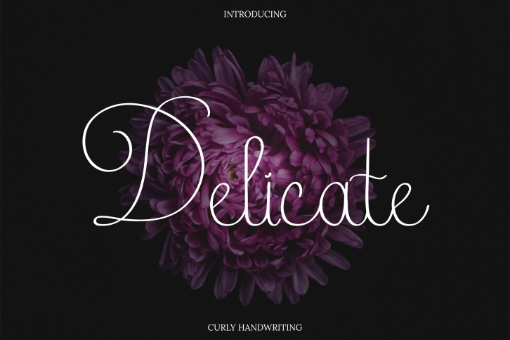 Delicate Font Download