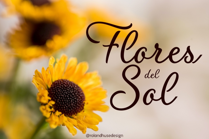 Flores del Sol Font Download