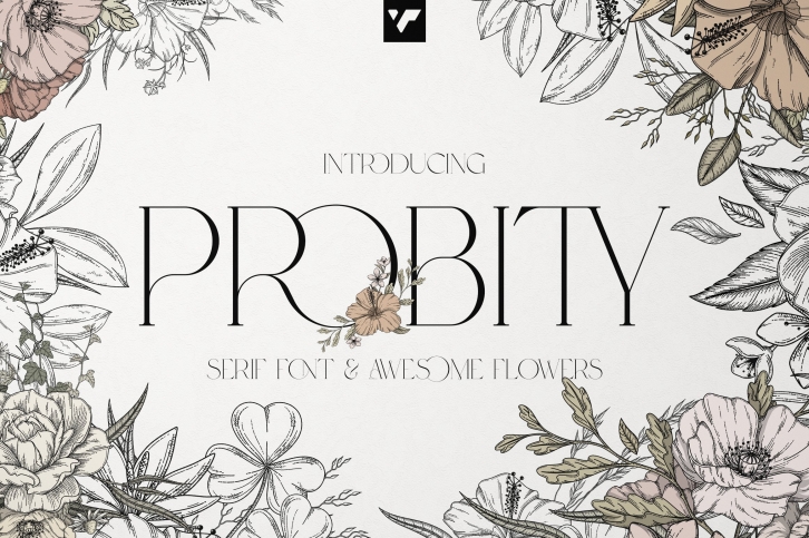 Probity Font Download