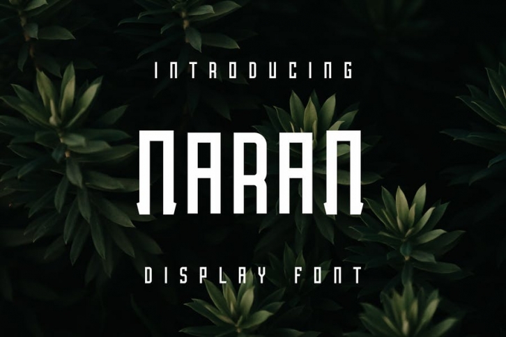 Naran Font Font Download