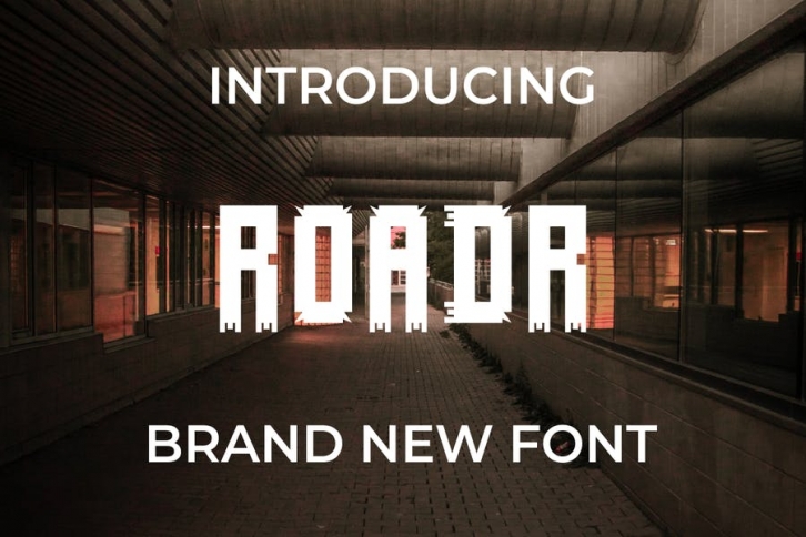 ROADR Font Font Download