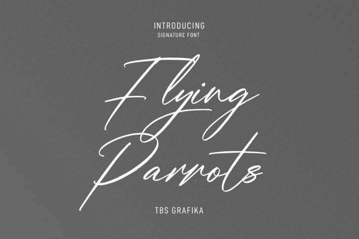 Flying Parrots Font Download