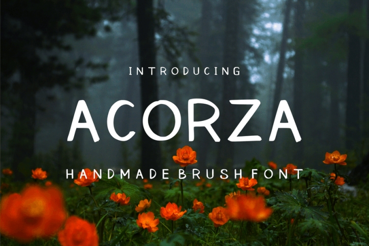 Acorza Rough Brush Sans Font Download