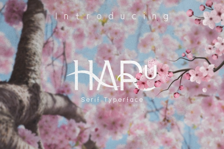Haru Font Download