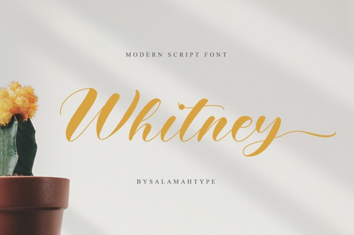 Whitney Font Download