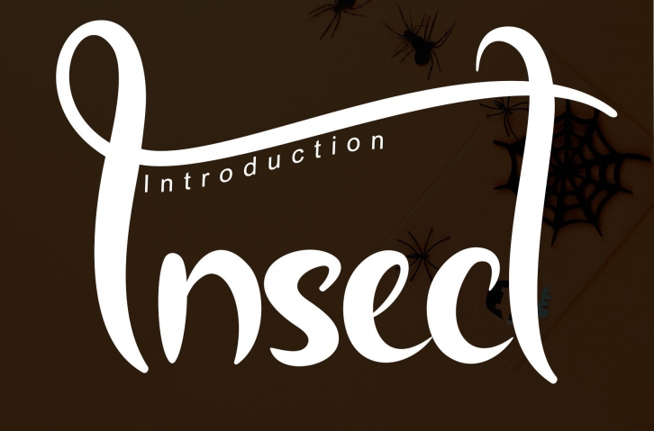 Insect Font Download