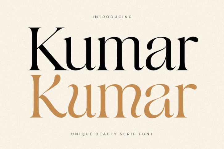 Kumar - Unique Beauty Serif Font Font Download