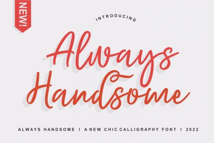 Always Handsome Font Download
