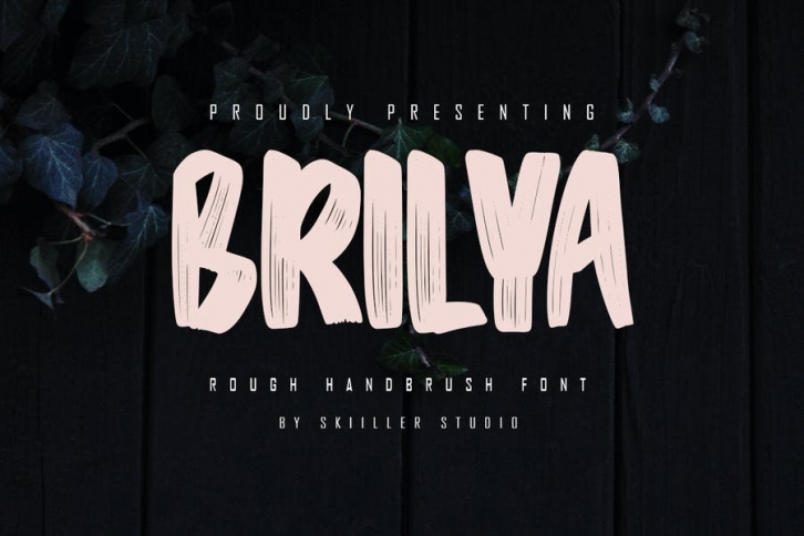 Brilya - Rough Handbrush Font Font Download