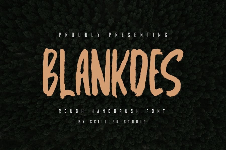Blankdes - Rough Handbrush Font Font Download