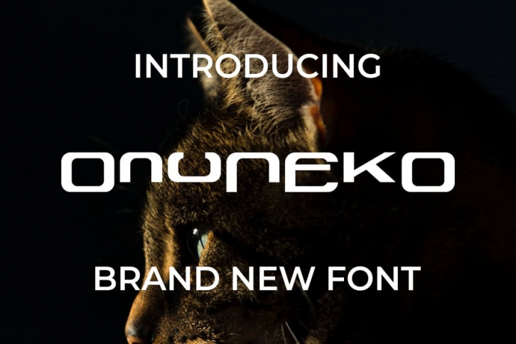 OnuNEkO Font Font Download
