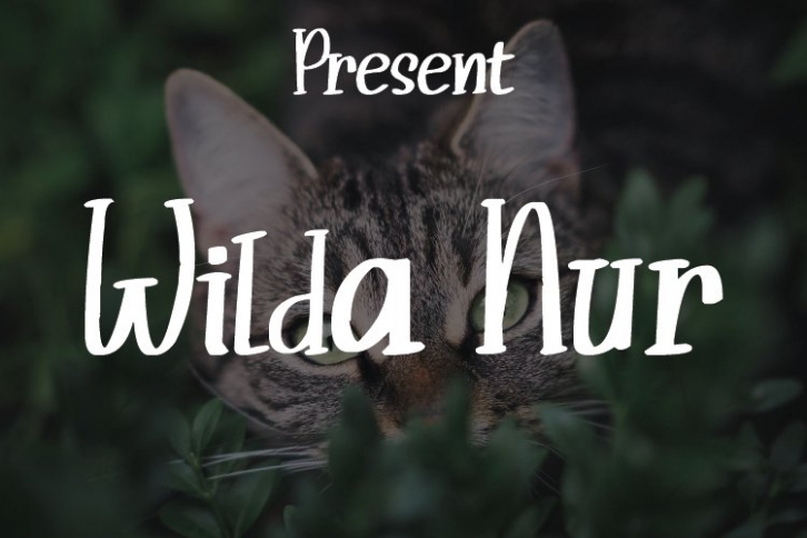 Wilda Nur Font Download