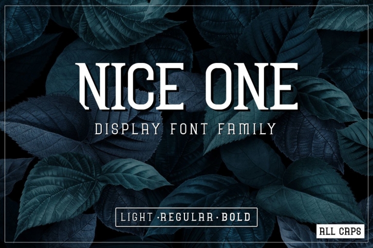 Nice One Font Download