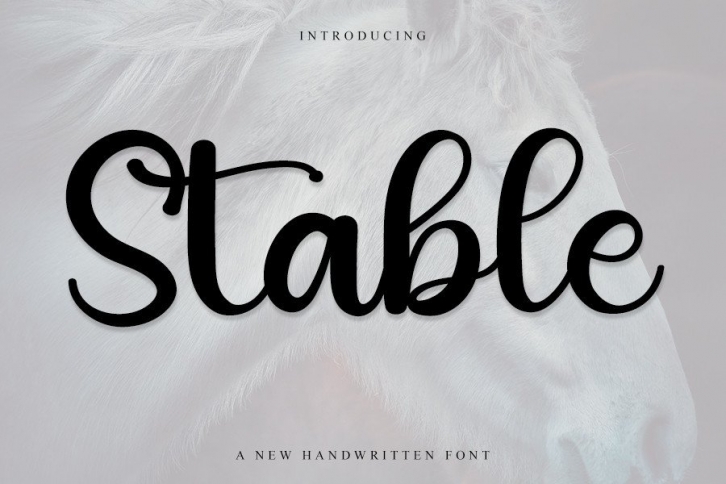 Stable Font Download