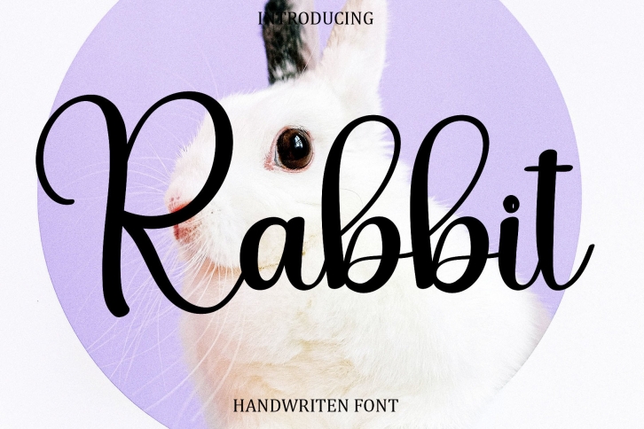 Rabbit Font Download