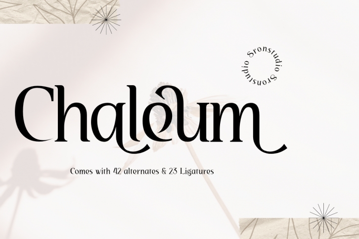 Chaleum Font Download