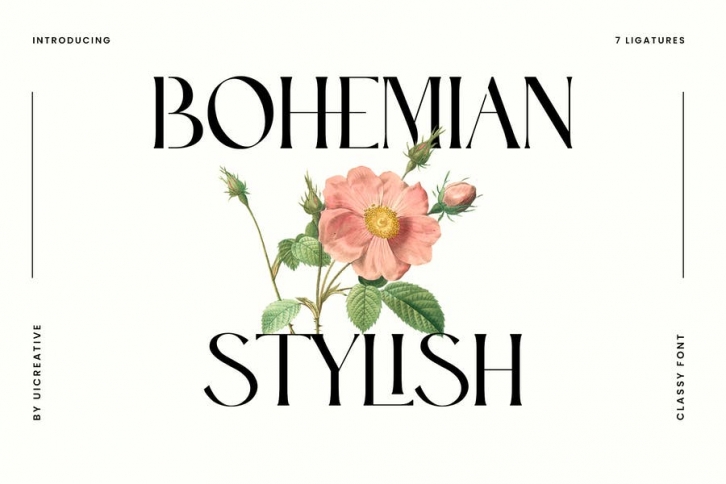Bohemian Stylish Luxury Serif Font Font Download