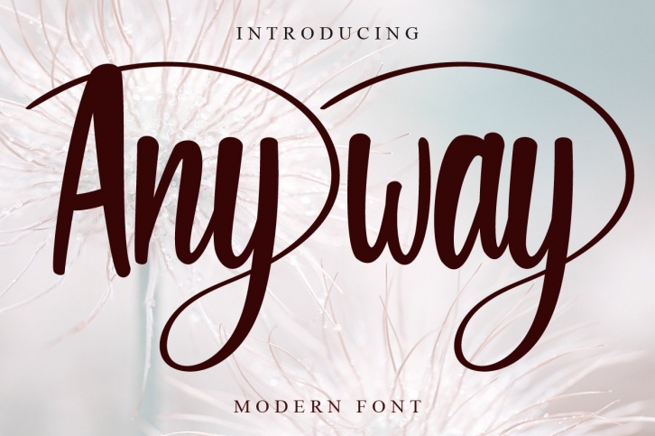 Anyway Font Download