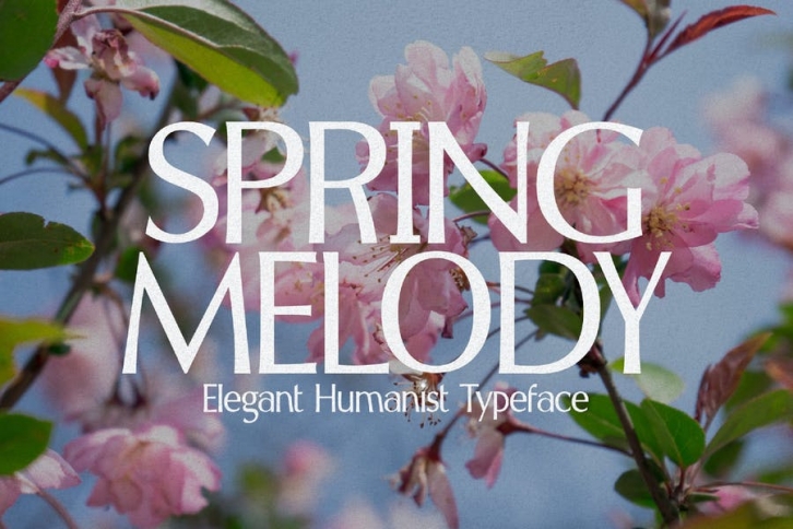 Spring Melody - Humanist Typeface Font Download
