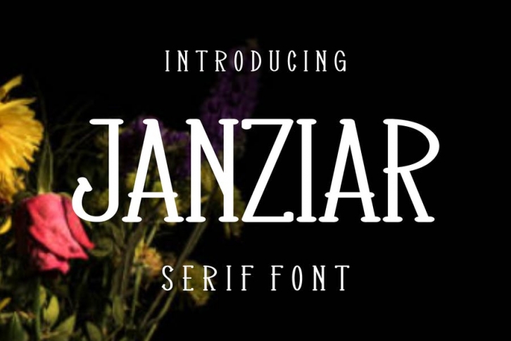 Janziar Font Font Download