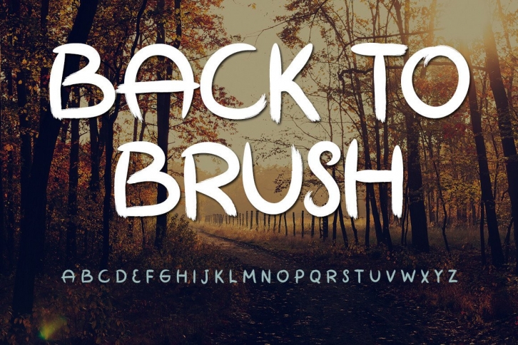 Back to Brush Font Download