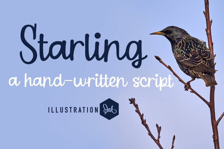 PN Starling Font Download