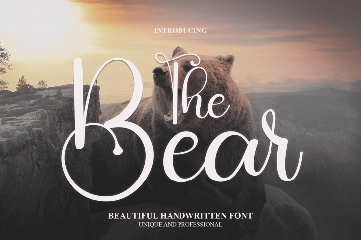The Bear Font Download