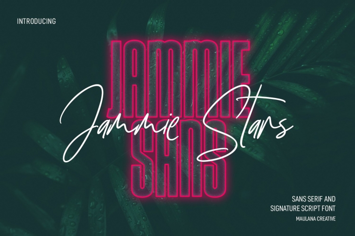 Jammie Stars Signature Script Sans Duo Font Download
