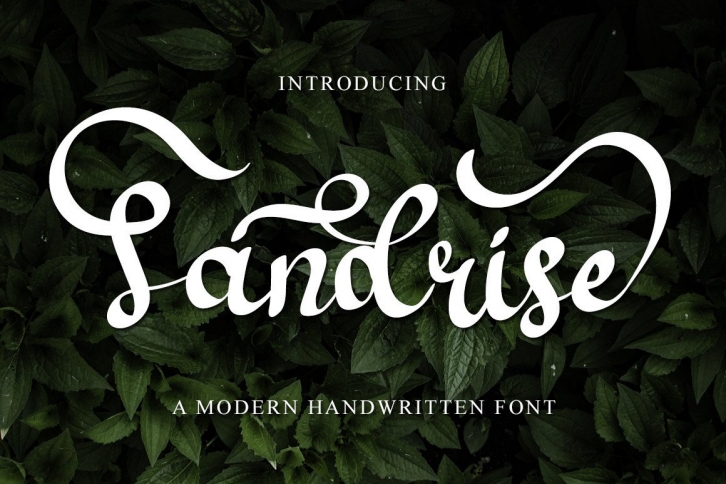 Sandrise Font Download