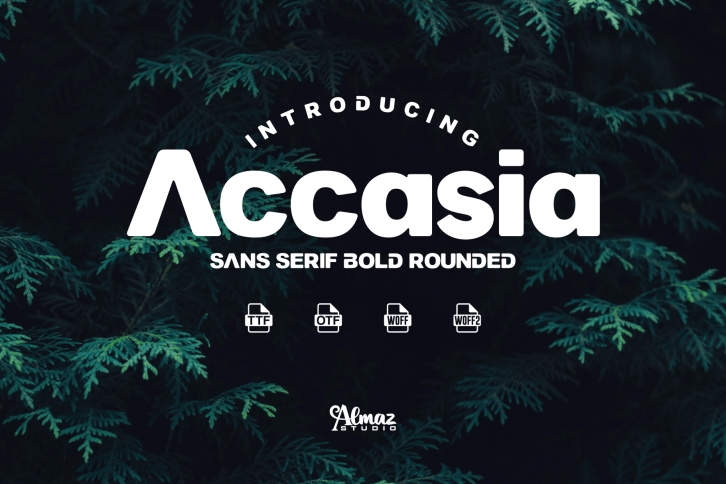Accasia Font Download