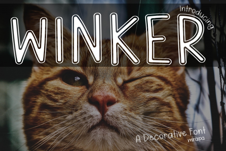 Winker Font Download