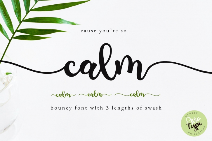 Calm Script Font Download