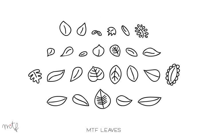 Leaves Font Download