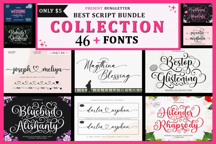 Best Script Bundle Collection Font Download