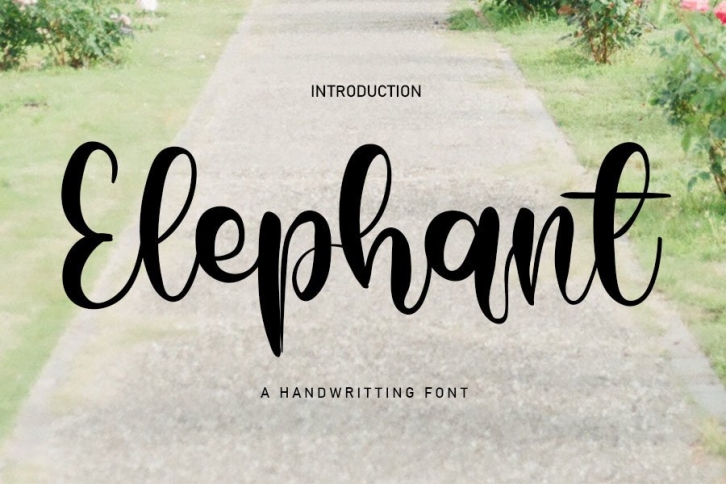 Elephant Font Download