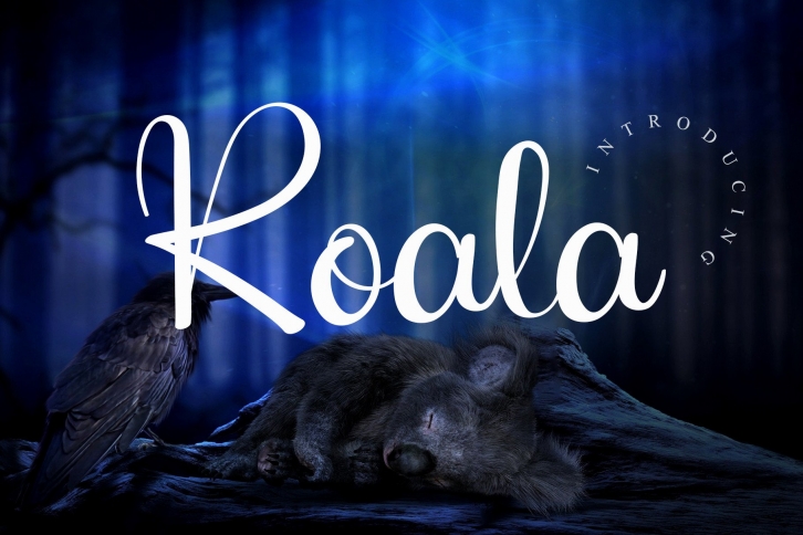 Koala Font Download
