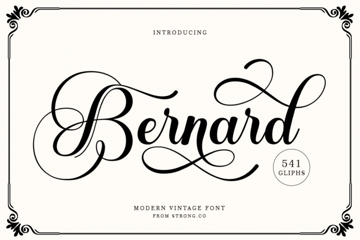Bernard Script Font Download