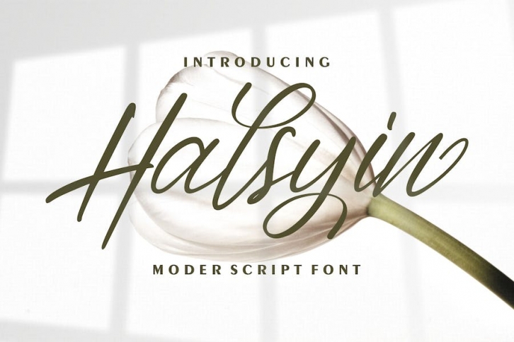 Halsyin | Modern Script Font Font Download