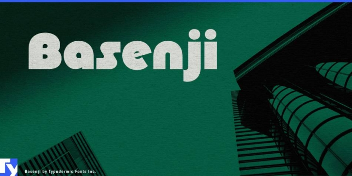 Basenji Font Download