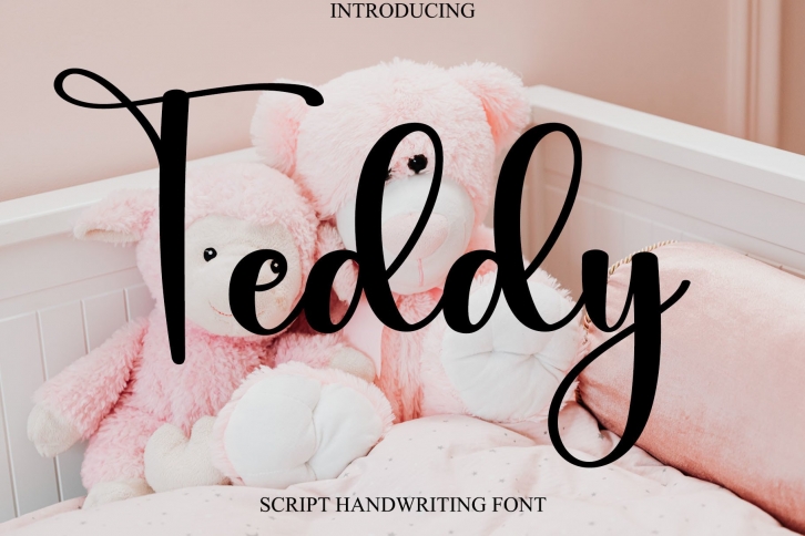 Teddy Font Download