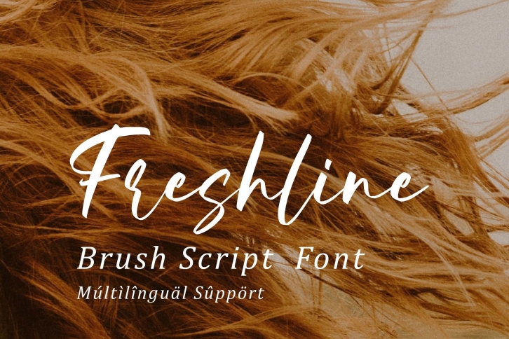Freshline Font Download
