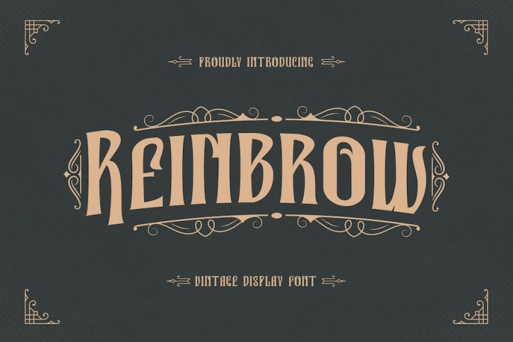 Reinbrow - Vintage Display Font Font Download