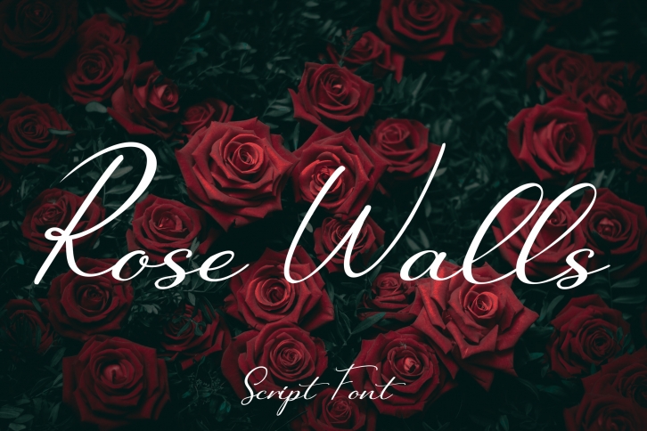 Rosewalls Font Download
