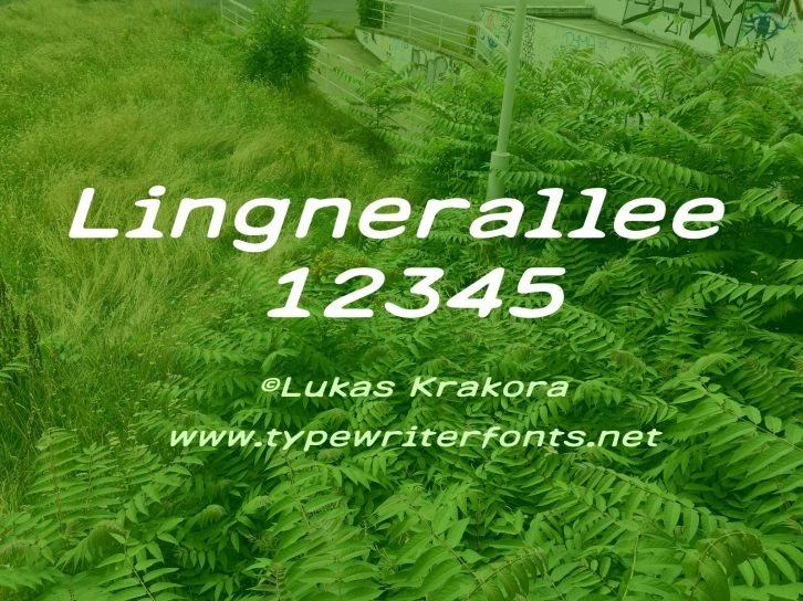 Lingnerallee 12345 Font Download
