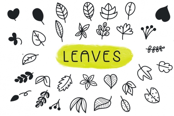 Leaves Font Download