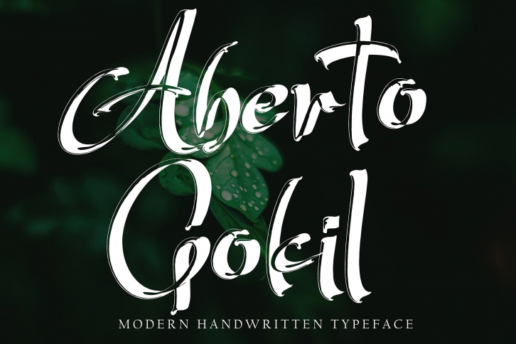 AbertoGokil Font Download