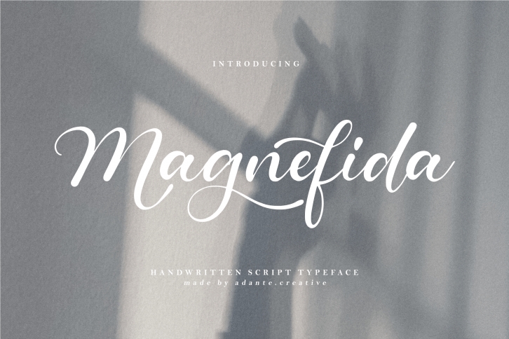 Magnefida Font Download