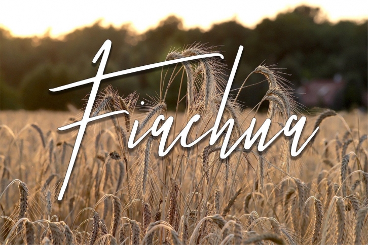 Fiachna Font Download