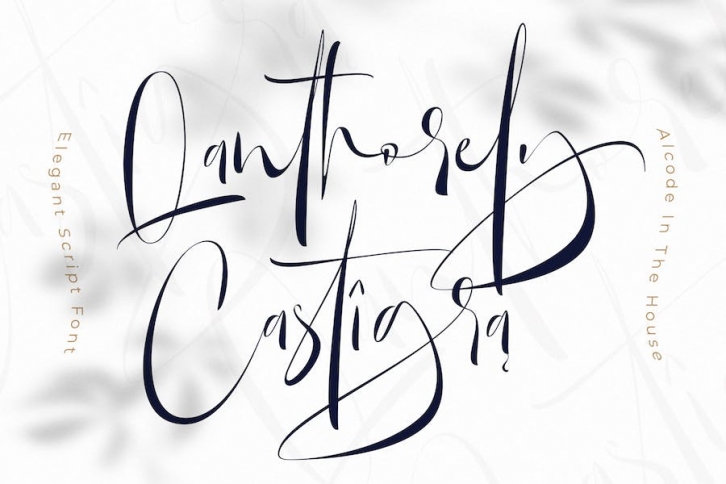 Qanthorely Castigra Script Font Download